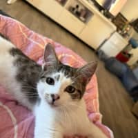 Photo of Archer