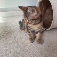 Photo of Picklebarrel Pete