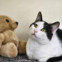 Photo of 🧃 Ian 5627 🧃