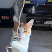 Photo of Clive