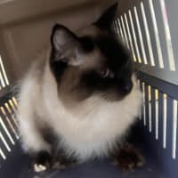 Photo of Mr Handsome