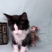 Photo of Gracie May 🌷