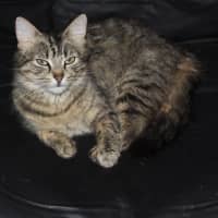 Photo of 💗 Billy Jo 💗