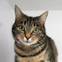 Photo of Samantha Sta012697