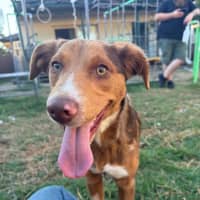 Photo of Ember