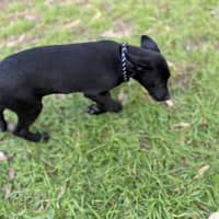 Photo of Betty