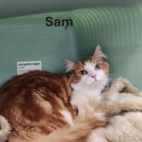 Photo of Ellie And Sam