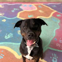 Photo of Junior