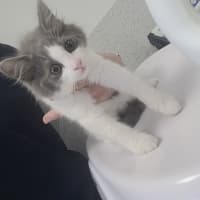 Photo of Mei