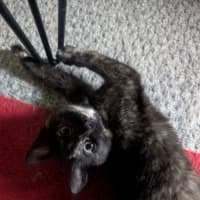 Photo of Willa