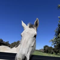 Photo of Barry