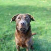 Photo of Max