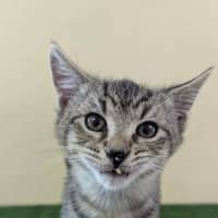 Photo of Parker