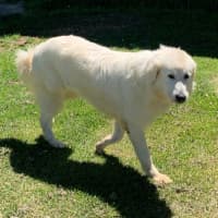 Photo of Molly