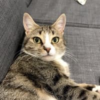 Photo of Kaiya