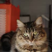 Photo of Rhea