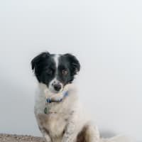 Photo of Sam Jablonski