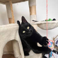 Photo of Kiwi