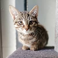 Photo of Charlotte