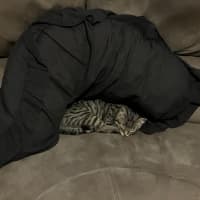 Photo of Chloe