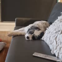 Photo of Wally