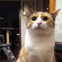 Photo of Samantha Sta014309