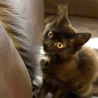 Photo of 💜 Winnie 💜