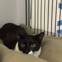 Photo of Dora