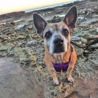 Photo of Winnie