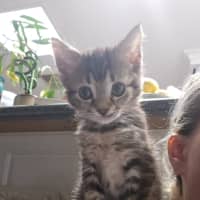 Photo of Spunky Spud