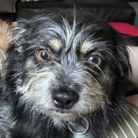 Photo of Jedda O'cleary