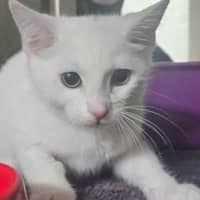 Photo of Cloud