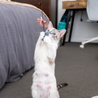 Photo of Hazel