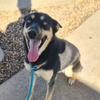 Photo of Daisy