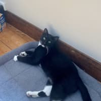 Photo of Pablo 