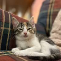 Photo of Kiki   Penelope