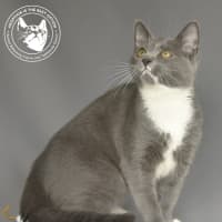 Photo of Millson
