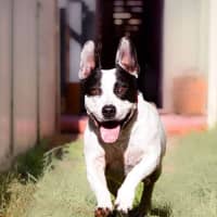 Photo of Biggie Smallz