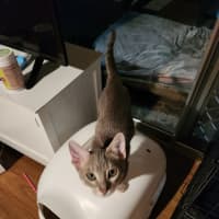 Photo of Ridoc