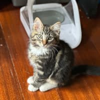 Photo of Edmond