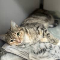 Photo of Coco 