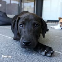 Photo of Kenzie