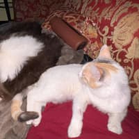 Photo of Valencia