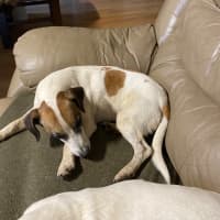 Photo of Turbo And Mazie