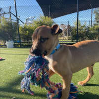 Photo of Cloud Imp 1722