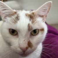 Photo of William