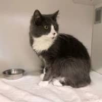 Photo of Minerva
