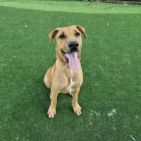 Photo of Xena Imp 2533