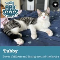 Photo of Tubby