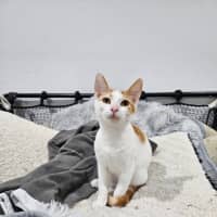 Photo of Ben